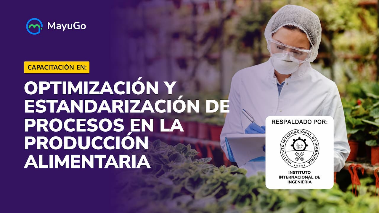 Curso